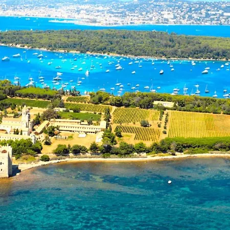 Charming Very And Calm Cannes